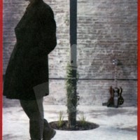 El tiempo que lo cura&nbsp;todo